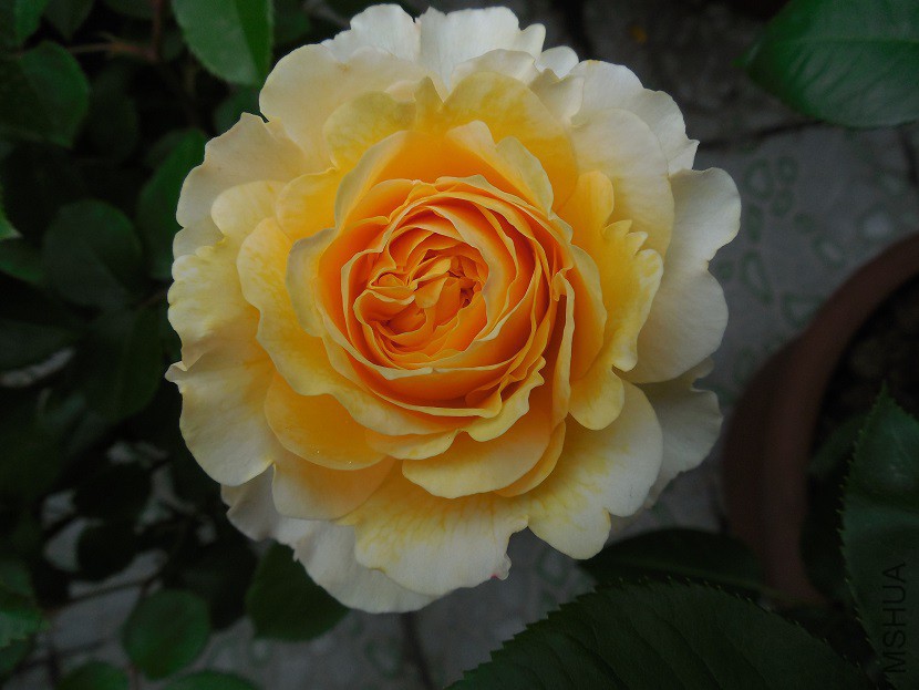 DSCN2061.JPG