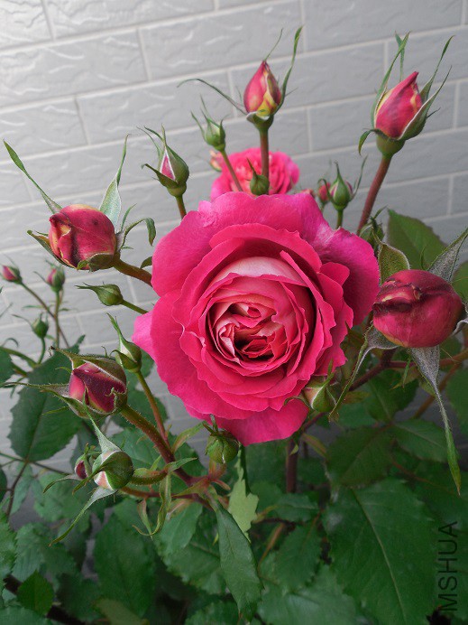 DSCN1951.JPG