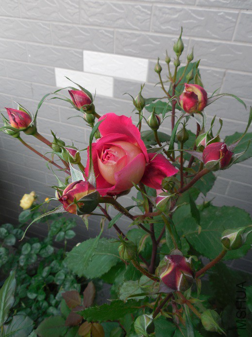 DSCN1953.JPG