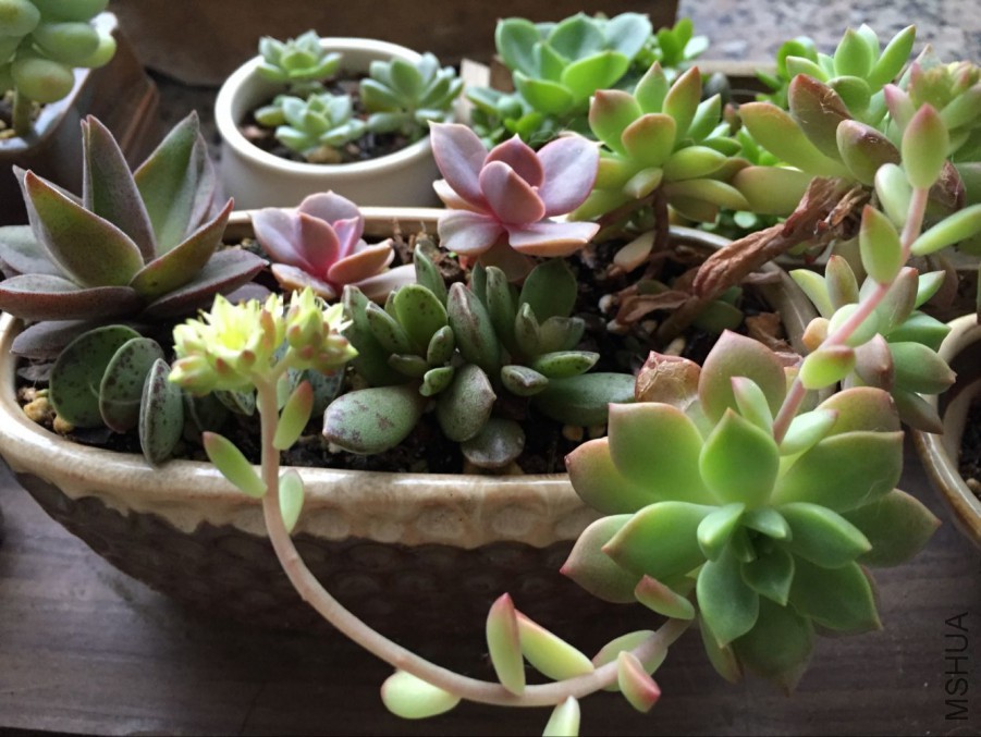 QQͼƬ20160507173239.jpg