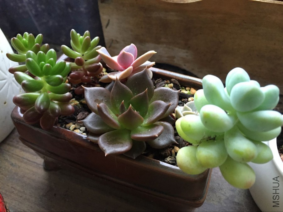 QQͼƬ20160507173243.jpg