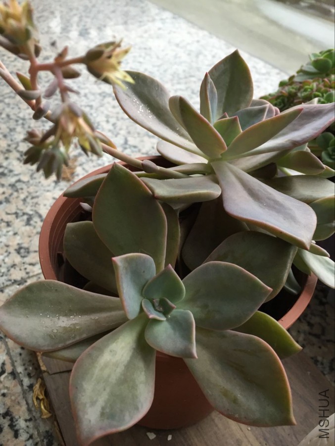 QQͼƬ20160507173247.jpg
