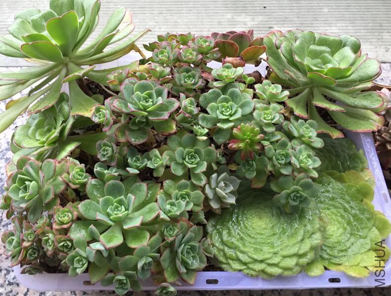QQ��ͼ20160507173744.jpg
