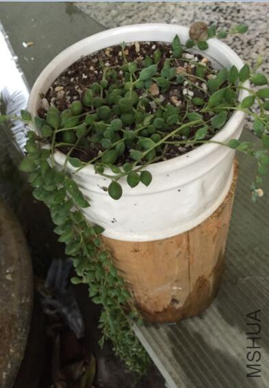 QQ��ͼ20160507173821.jpg