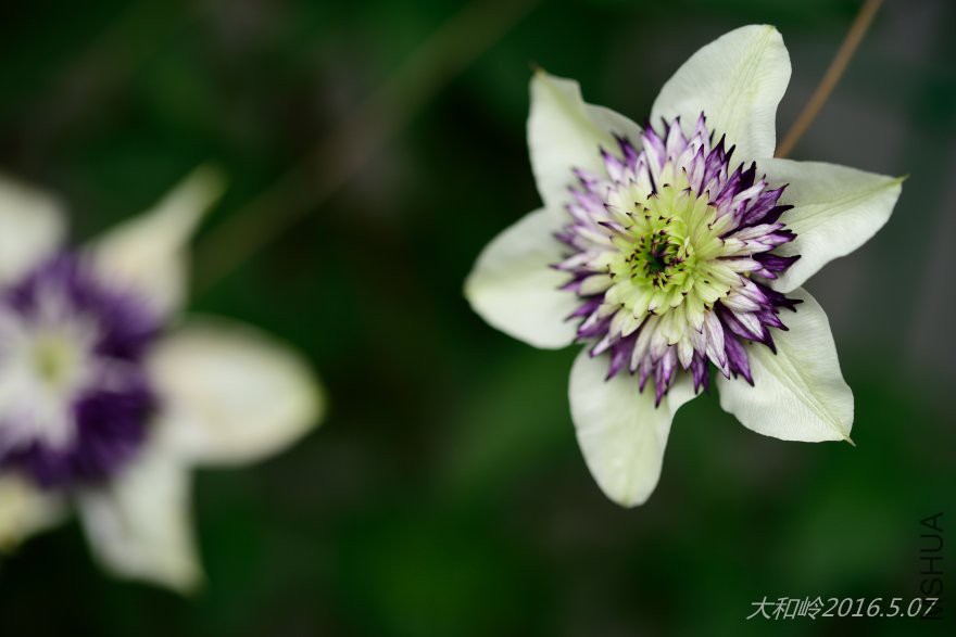 dsc_0765 - ����.jpg