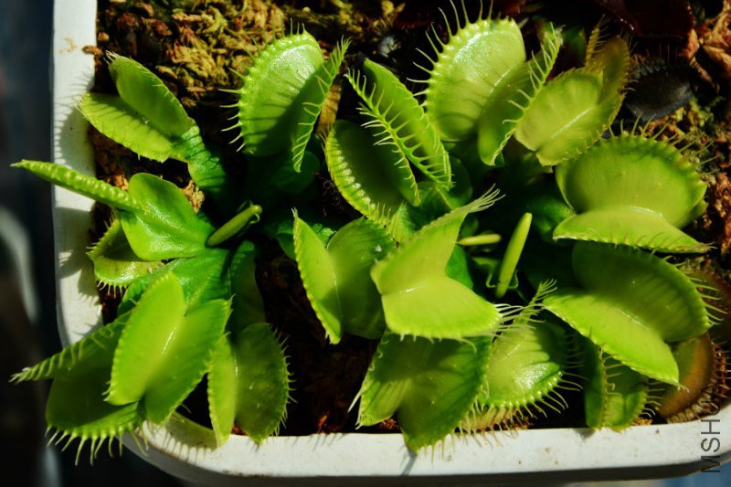 DSC_7363.jpg