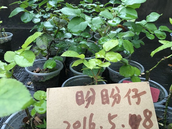 QQͼƬ20160508174045.jpg