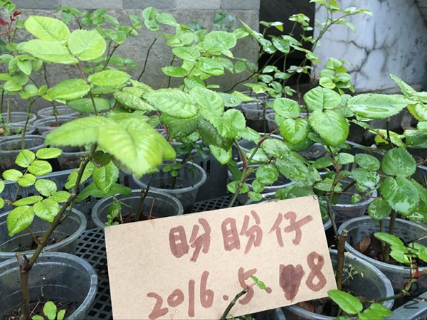 QQͼƬ20160508174058.jpg