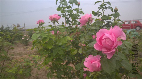 WP_20160508_18_12_23_Pro.jpg