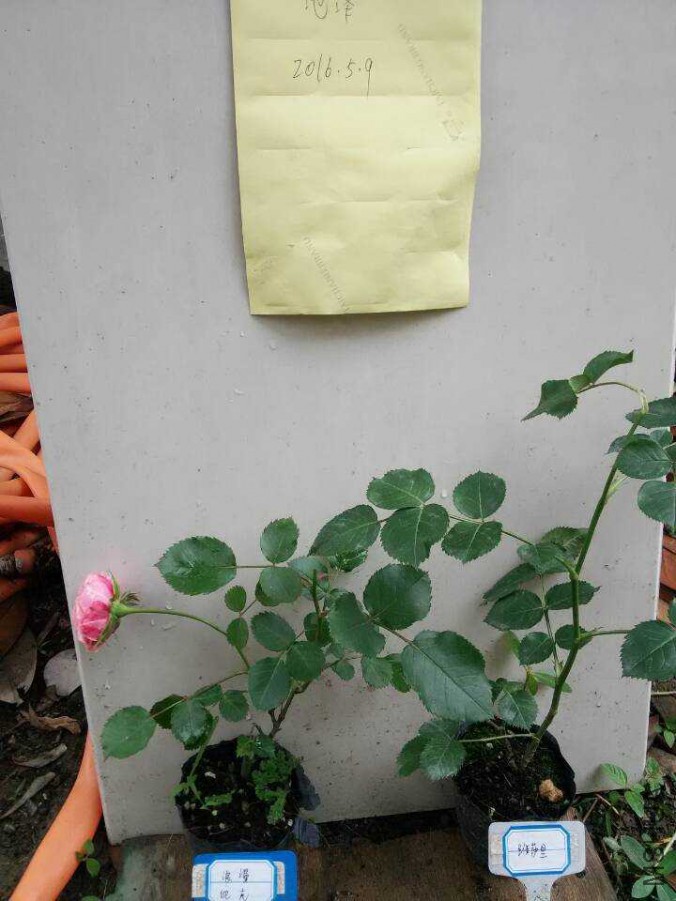 QQͼƬ20160509133812.jpg