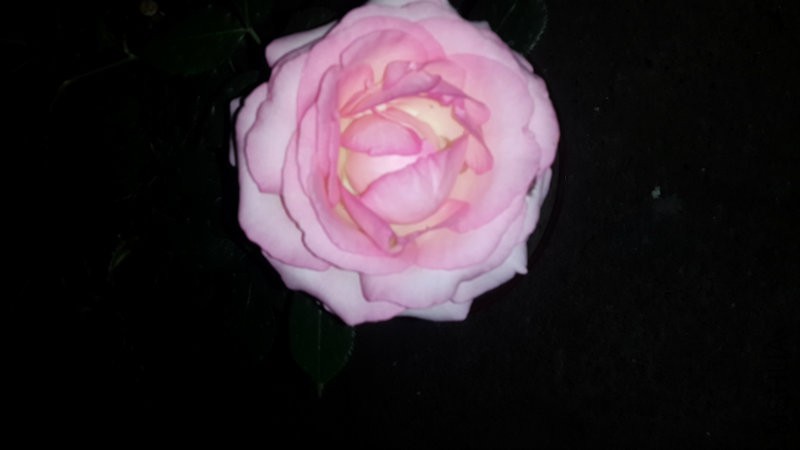 20160509_004840.jpg