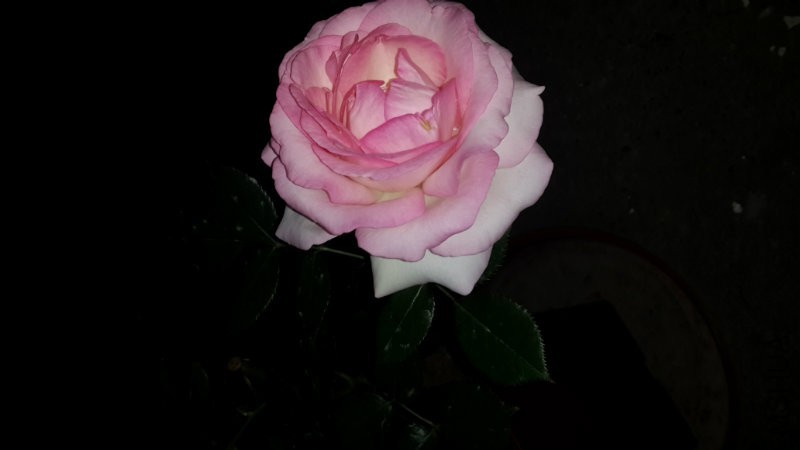 20160509_005005.jpg