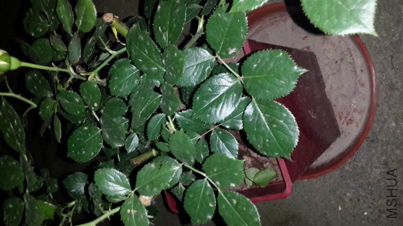 20160509_005012.jpg