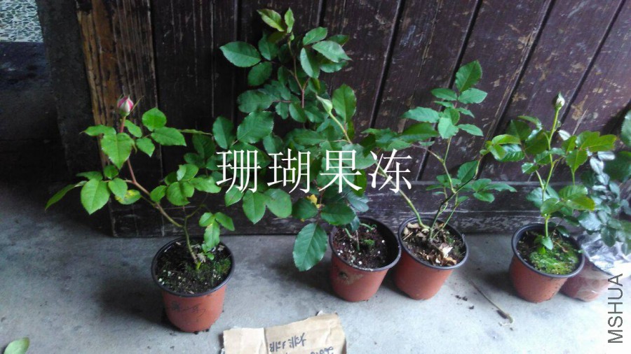 QQͼƬ20160509142705.jpg
