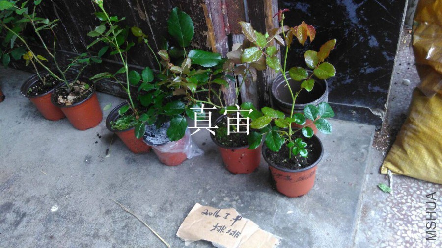 QQͼƬ20160509142717.jpg