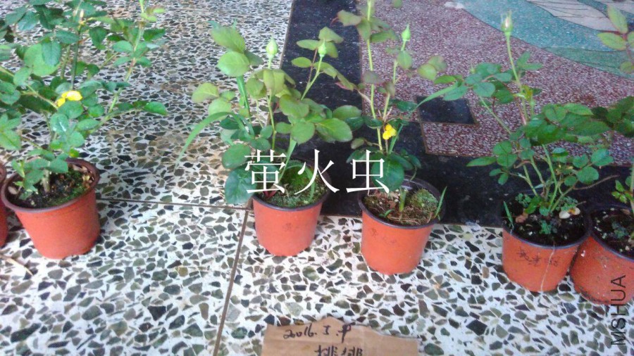 QQͼƬ20160509142727.jpg