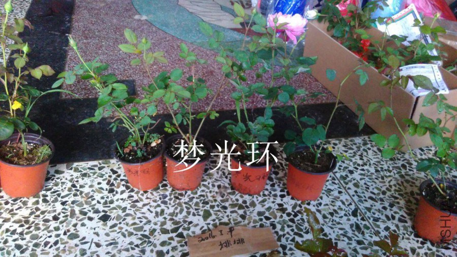 QQͼƬ20160509142730.jpg