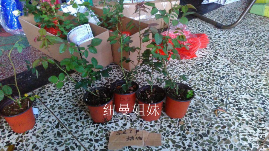 QQͼƬ20160509142733.jpg