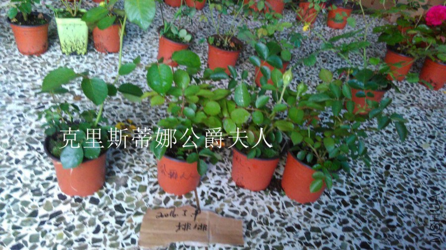 QQͼƬ20160509142739.jpg