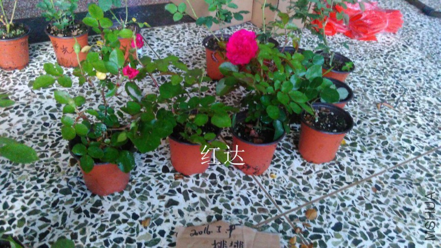 QQͼƬ20160509142736.jpg