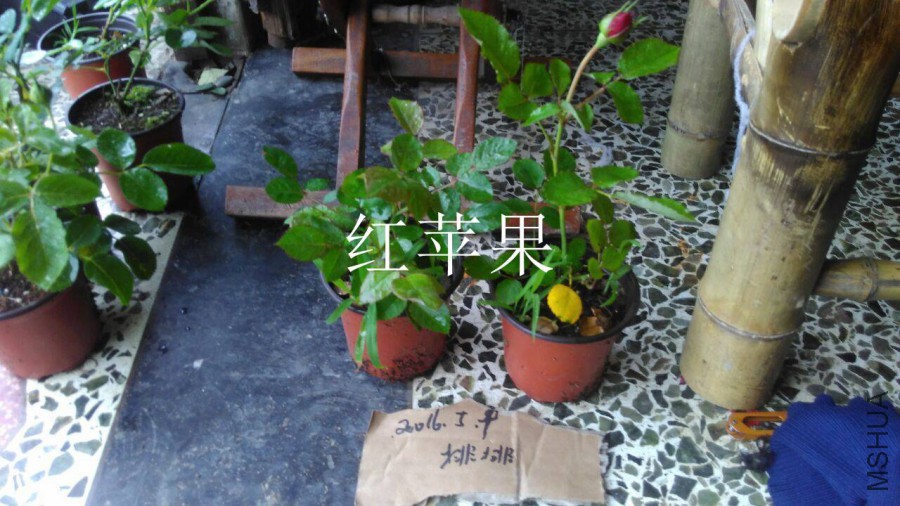 QQͼƬ20160509142755.jpg