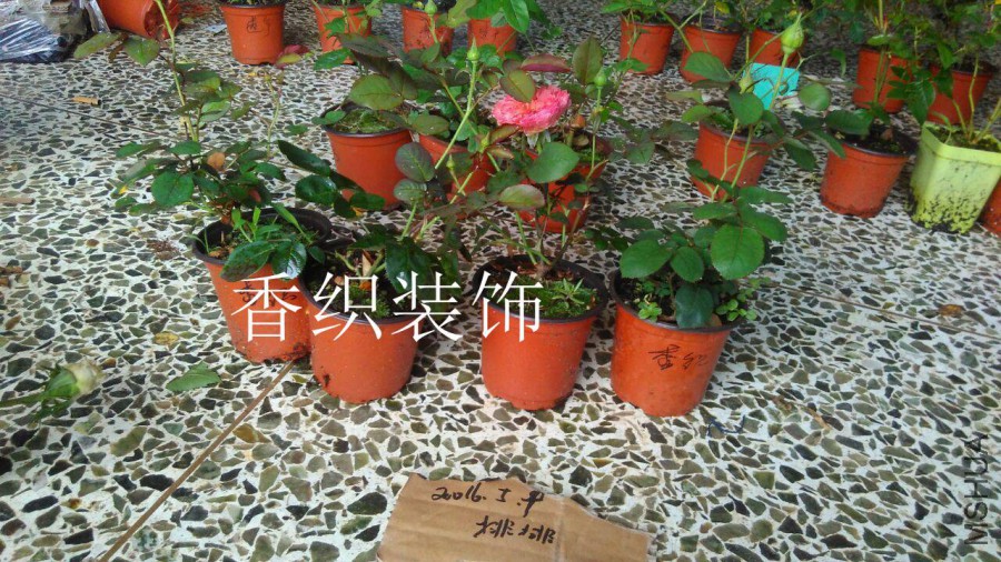 QQͼƬ20160509142751.jpg