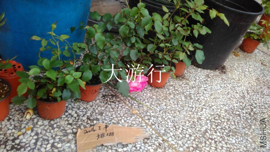 QQͼƬ20160509142759.jpg