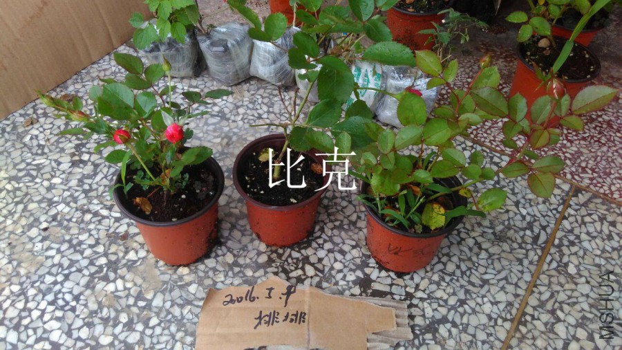 QQͼƬ20160509142811.jpg