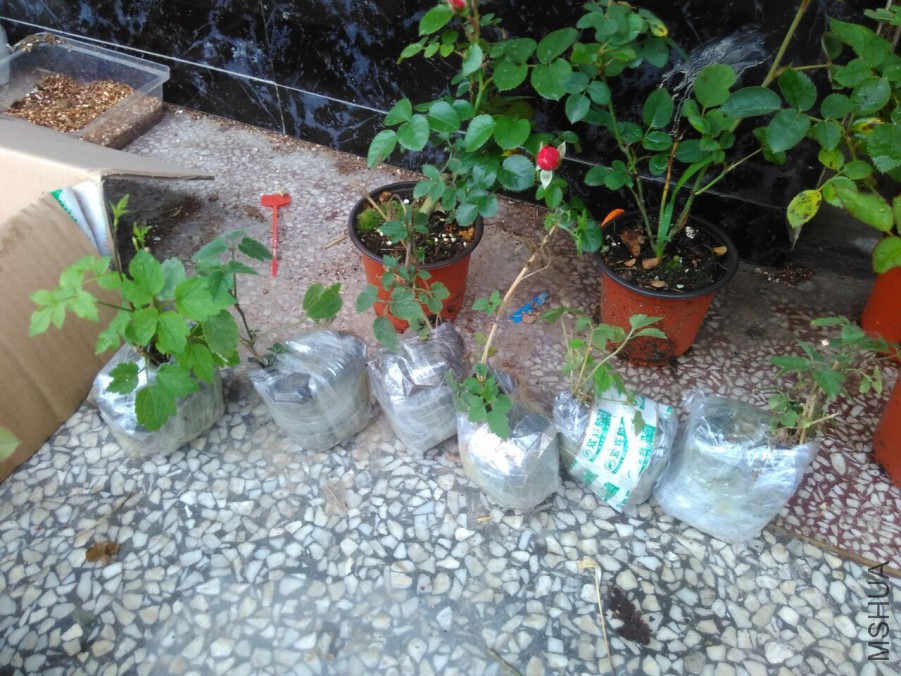 QQͼƬ20160509145910.jpg
