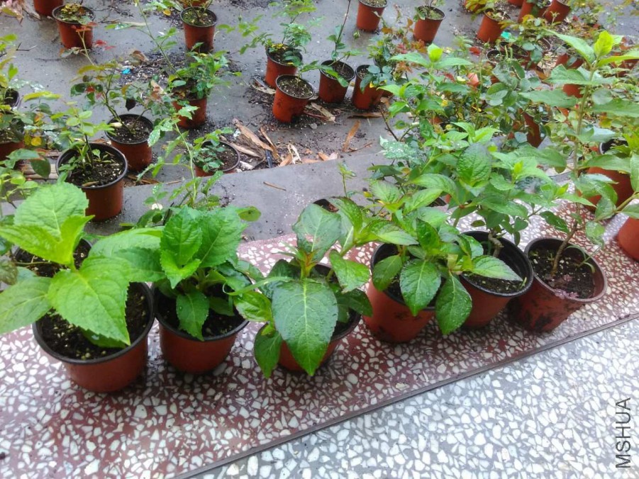 QQͼƬ20160509145905.jpg