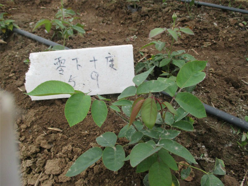 甜蜜邂�