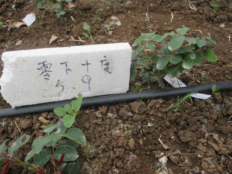 学院.jpg
