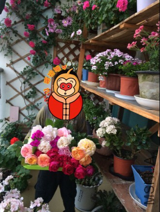 QQ��ͼ20160510122329.jpg