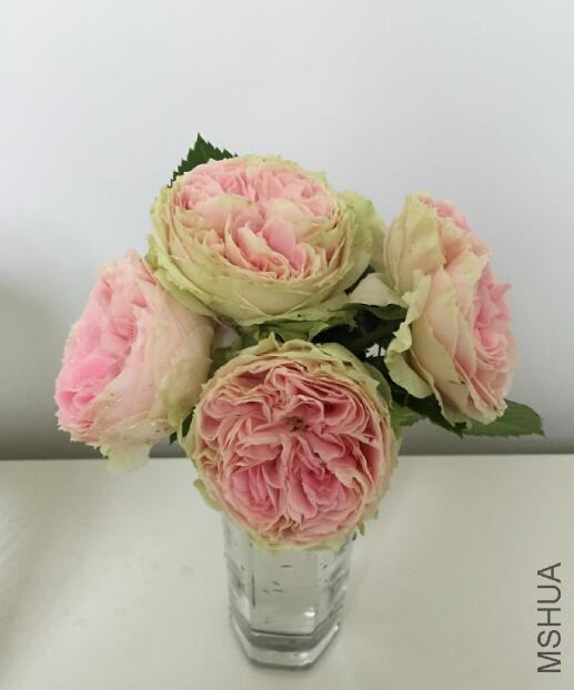 QQ��ͼ20160510141007.jpg