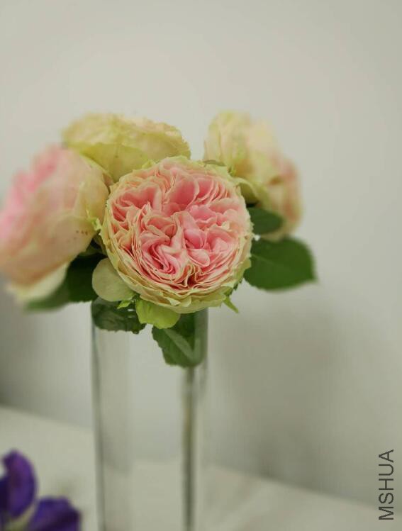 QQ��ͼ20160510141019.jpg