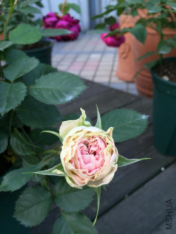 QQ��ͼ20160510140849.jpg