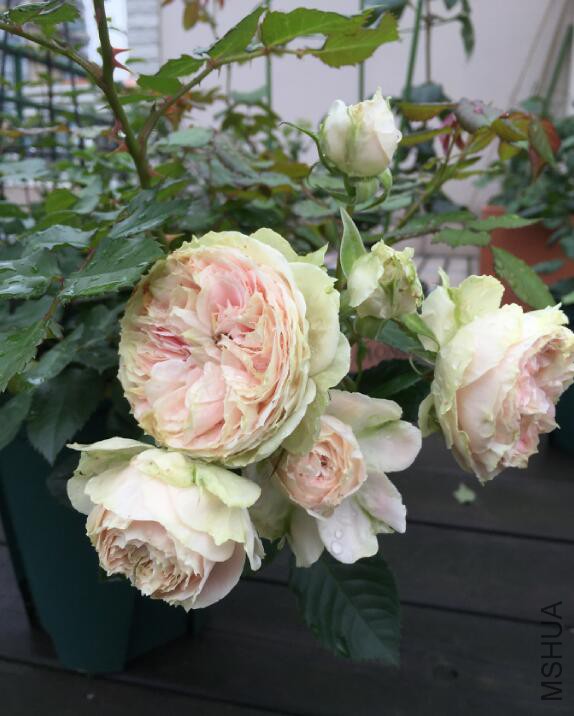 QQ��ͼ20160510140935.jpg
