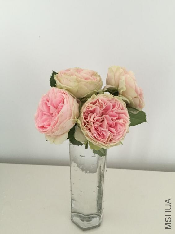 QQ��ͼ20160510140951.jpg