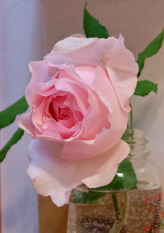 20150507_221033_HDR.jpg