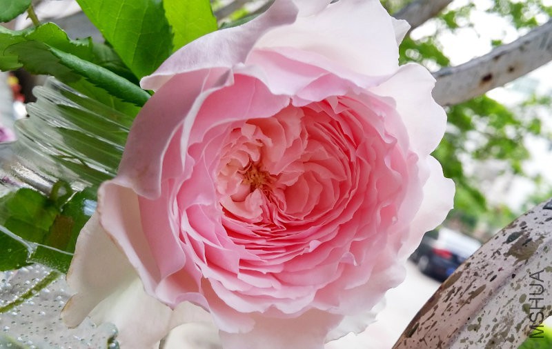 20150508_072741_HDR.jpg
