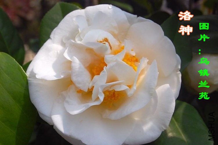 222624yfe3hha696uqj9b4 (1)_����.jpg