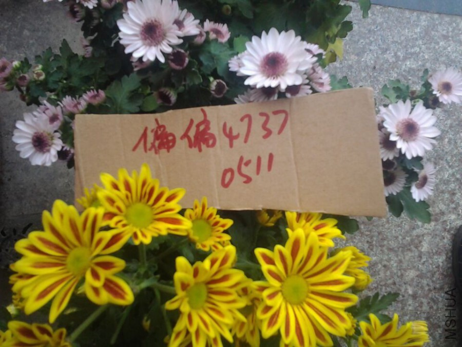 QQͼƬ20160511084806.jpg