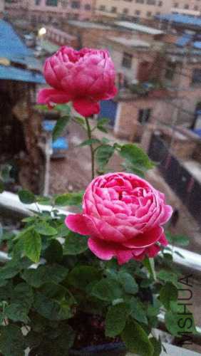 20160510_060355.jpg