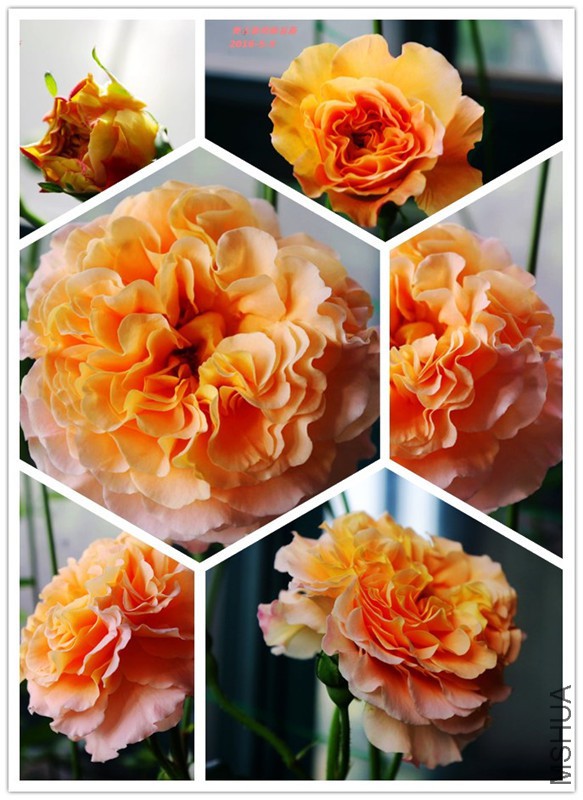 �¹� ����