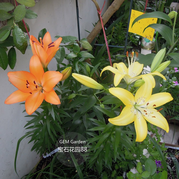 DSCN8305.JPG