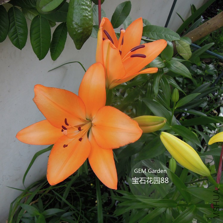 DSCN8306.JPG