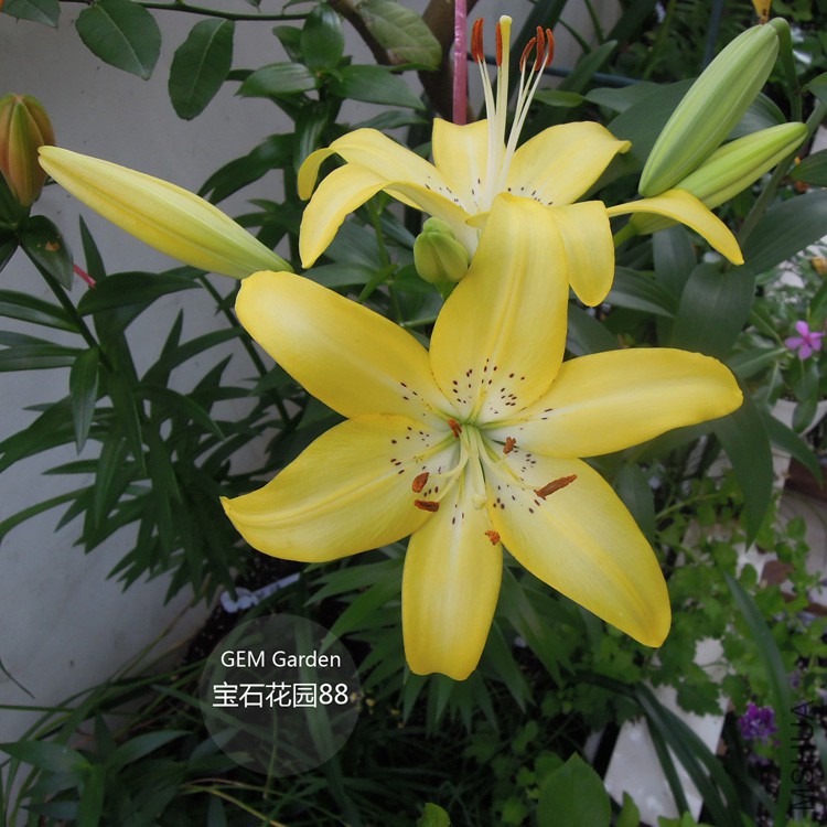 DSCN8309.JPG