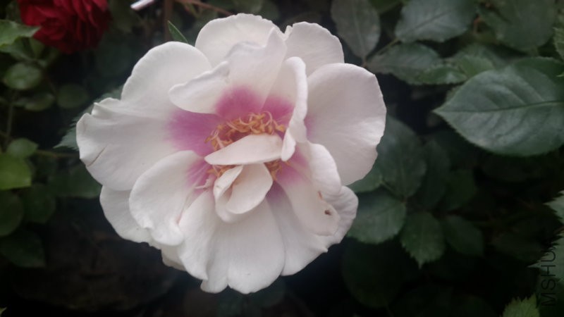 20160414_115130.jpg