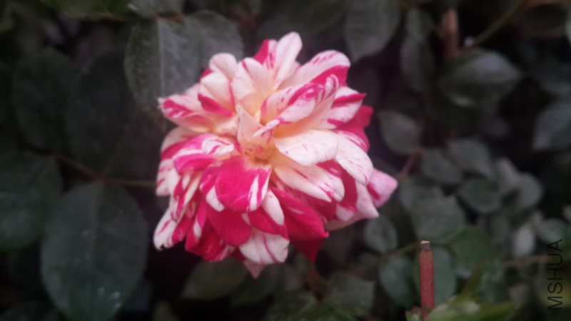 20160414_115145.jpg
