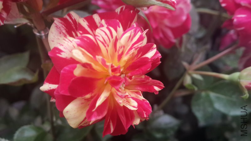 20160414_115149.jpg